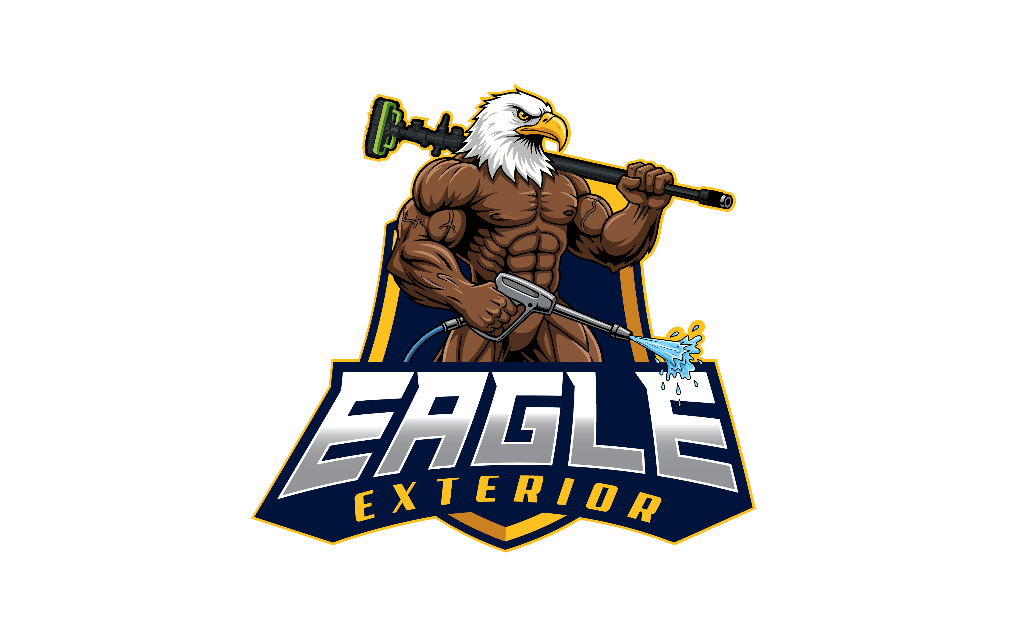 Eagle Exterior Washing logo